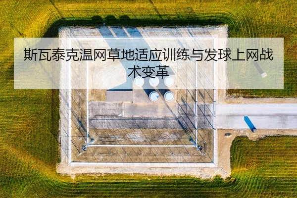 si-wa-tai-ke-wen-wang-cao-di-shi-ying-xun-lian-yu-fa-qiu-shang-wang-zhan-shu-bian-ge-3-993.jpg