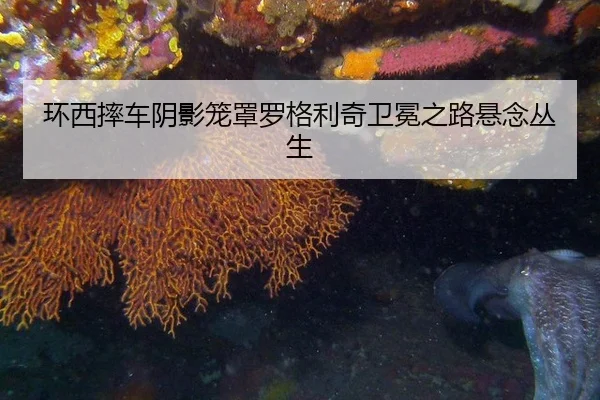 huan-xi-shuai-che-yin-ying-long-zhao-luo-ge-li-qi-wei-mian-zhi-lu-xuan-nian-cong-sheng-2-703.jpg